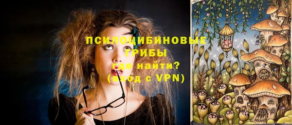 ALPHA PVP Гусиноозёрск