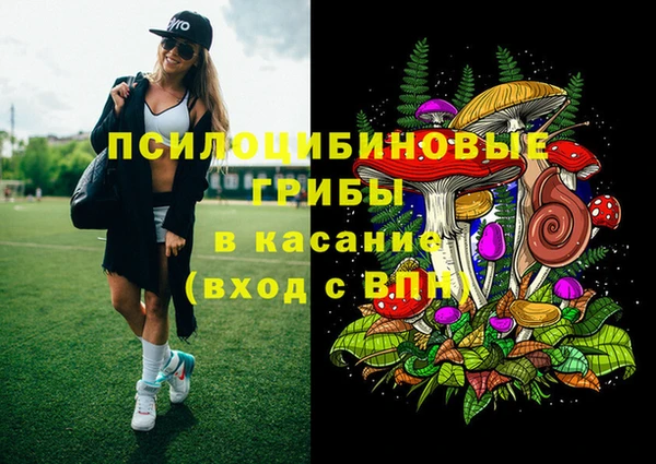 ALPHA PVP Гусиноозёрск