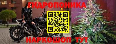 прущий лед Гагарин