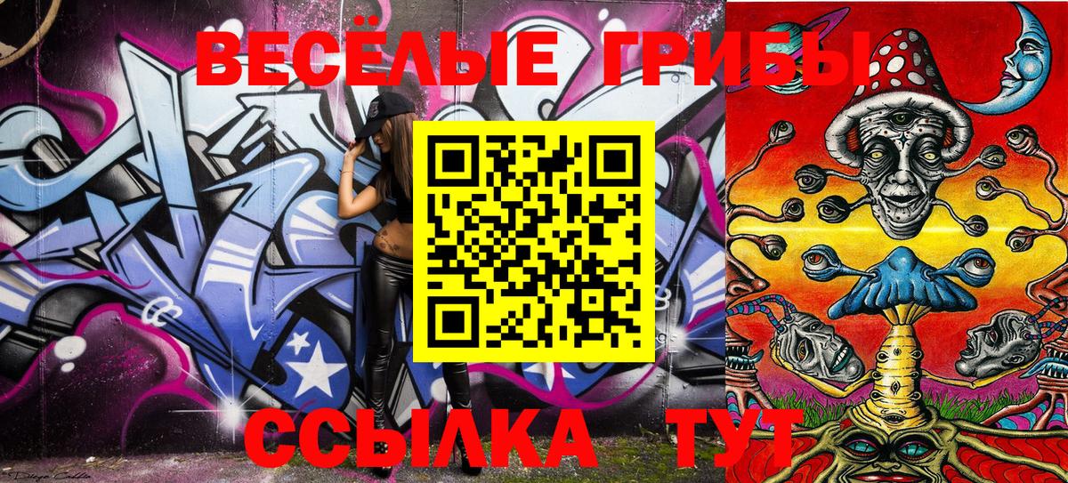 Галлюциногенные грибы Cubensis  Владимир 